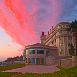 山东大学：一场为“青椒”而生的体制之变