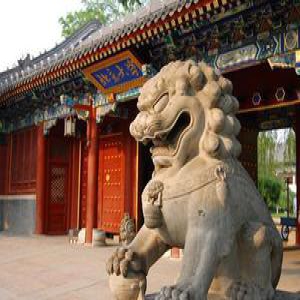 中国排名前十的研究型大学 个个顶尖