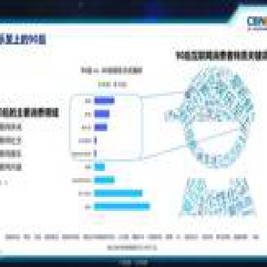 中国互联网消费生态报告：网红借力电商，秒变吸金王
