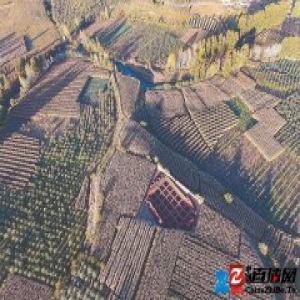 四川发掘64座新石器时代遗存 川西南历史提早2千年