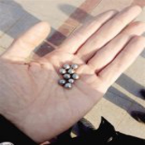 “钢珠雨”打跑广场舞大妈 又射向甩鞭子大爷