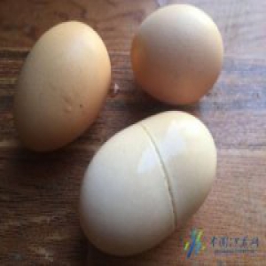 稀奇！扬州一母鸡产下“胶囊蛋”一蛋双黄