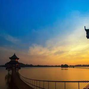 家长感慨择校难 国际学校一年究竟要招多少人