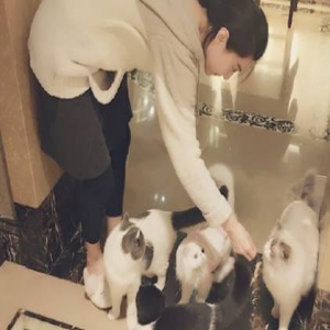 范冰冰晒居家照 穿拖鞋悠闲喂猫：排排坐，吃果果