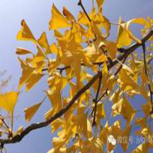 新教育理念梳理与诠释（7）