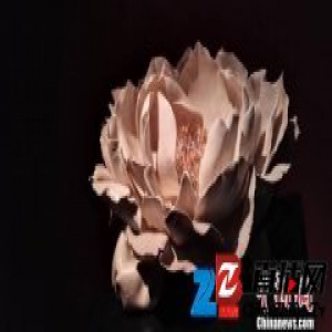 杭州举办国际陶艺双年展 9国艺术家沟通共融