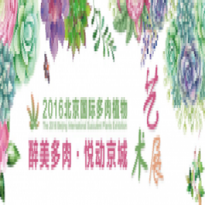 北京国际多肉植物艺术展 傲娇亮相