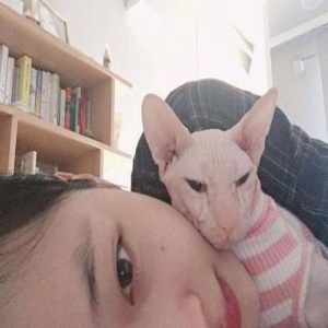 崔雪莉与爱宠贴面自拍 网友却被这只猫吓坏了(图)