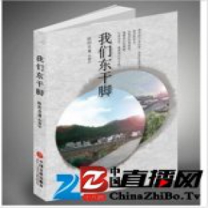 《我们东干脚》与中国故事