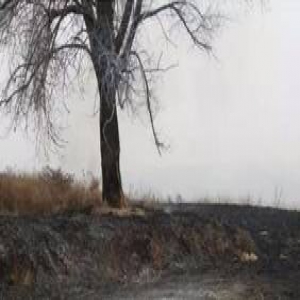 陕西：不明物体从天而降 砸开大坑引起火