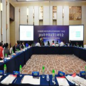 2016中国家装年会 揭晓行业“金钻奖”