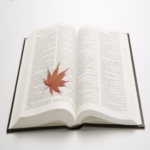 12月四级作文解析：出题方式有变 源自考研英语作文