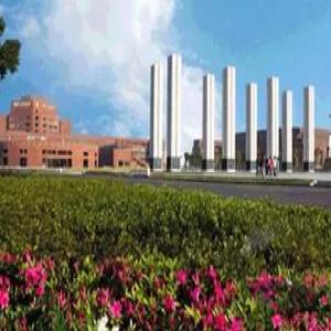 国际高中新生体验：全英文课堂也可以很轻松