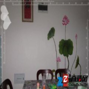 新婚女晒刚装修的100平房子 网友却被她家的墙给丑哭了