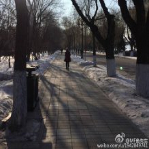 黑龙江大部气温降至-20度 哈尔滨迎今冬最冷天