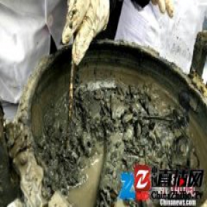 河南楚墓发掘现场现“牛骨汤” 骨头清晰可见