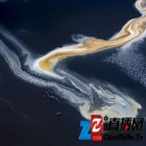 成都摄影家“金像奖”作品疑遭“剽窃”