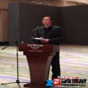 书画艺术家林蘭子：画家要不为名利所动