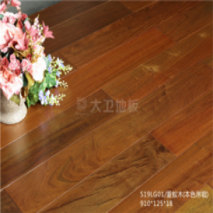 大卫地板感受南美洲风情