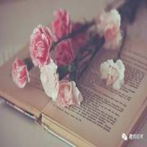 教育心理学的人物和理论的对应大全