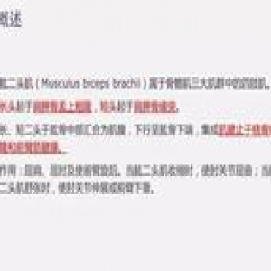 肱二头肌长头腱病变的MR诊断