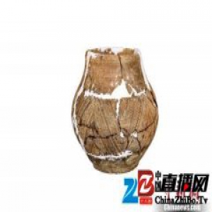 四川安宁河流域发现川西南最早新石器时代遗存