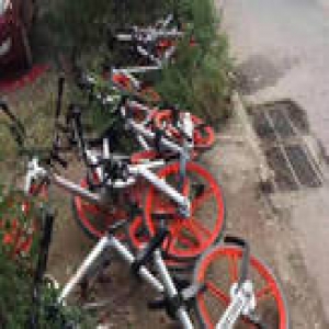 网上回收共享单车：开价2000元，“需拆除GPS”