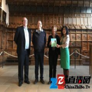 城市童话故事《黄鹤楼》亮相德国 各界反响热烈