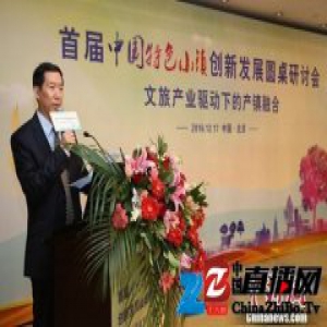 首届中国特色小镇创新与发展圆桌研讨会在京举办