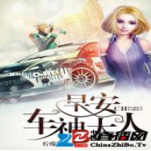 《早安，车神大人》：老司机速成宝典