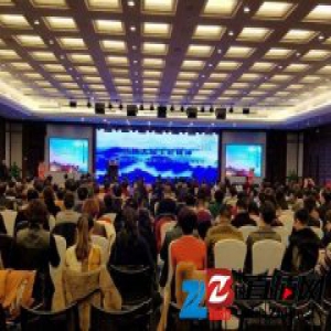 网络经济双创大会暨第二届中国非遗产业年会举行