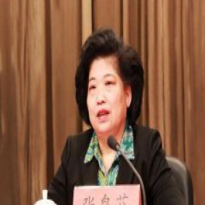 天津红桥区委原书记张泉芬涉嫌严重违纪被调查