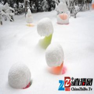 这个雪景观，特点是“我们就把它们放在那里吧，千万不要碰”