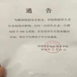 福建高校奖励师生扑杀校内野狗引质疑