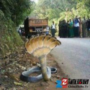 「这世界」这 10 张你已经或可能会看到的图，都是假的