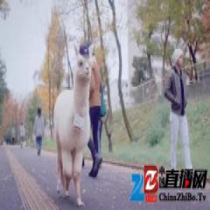 把羊驼变成邮递员，就连收不到包裹这件事也可以原谅了呢