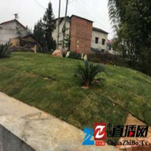 湖南湘潭建活人墓人大代表辞职 自称背锅有点冤