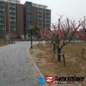 北京有雾京哈六环等封路 雾霾今天将消散(图)