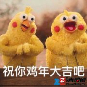 最近祝你“鸡年大吉”的鹦鹉兄弟火了，打哪来的？