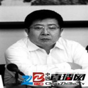 北京大兴新机场周边年后开始绿化