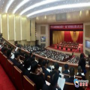 广东省政协会议上午开幕 委员展现议政风采