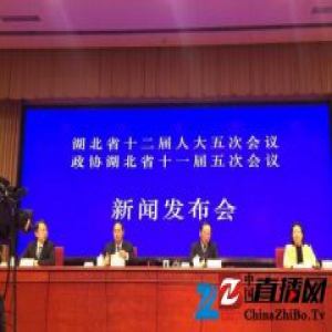 湖北代省长王晓东兼任省自贸区领导小组组长