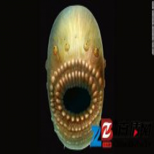 陕西现最早人类祖先化石 显微镜下细节令人震惊