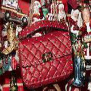 范爷最爱的包包在这里 追同款的看过来