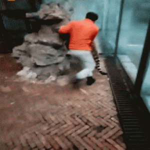 贵州动物园回应虐虎：系饲养员与幼虎嬉戏场景