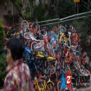 共享单车，真是一面很好的国民照妖镜