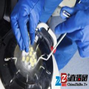 备受争议的人类基因改造，获得了美国权威科学顾问小组支持