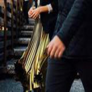 2017杨幂刘涛用“土豪金”时髦又招财