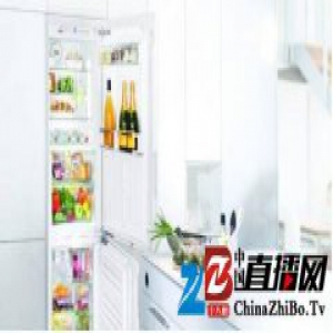 拥有LIEBHERR利勃海尔奢华冰箱享受完美家庭派对