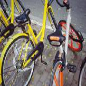 共享单车为啥这么火：真相在这